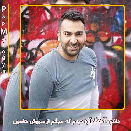 دانلود آهنگ سروش هامون آره دیدم که میگم
